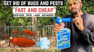 Best Bug Spray ! For Mosquito Repellent,  Mosquitoes, Fleas , Ants #honestreview