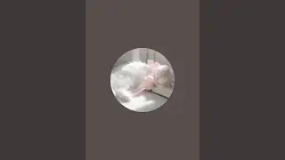 ぴんくま🧸💕 がライブ配信しました