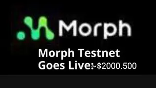 Morph Testnet Tutorial (Airdrop)