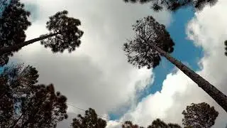 Tour de Murree (DJI MAVIC MINI & GoPro Hero 8 Cinematography)