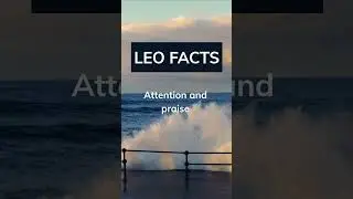 You think Leo&rsquo;s are attention seekers ? Tell me in the comments!👇 #shortvideo #shortsfeed #shorts