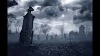 Seven Signs of Life (official audio)
