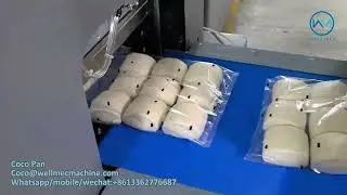 Fruits Vegetables Pillow Machine 800X Flow Pack Packaging Machines Large China Flow Pack Machine