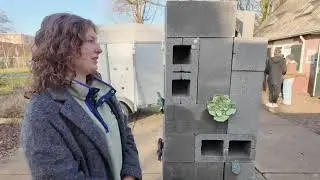 Een natuursymbiose met kunst - Studenten HKU brengen natuur tot leven
