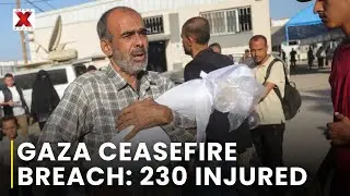 Gaza Ceasefire : 97 Palestinians Killed In Ceasefire Violations By Israel | NewsX World