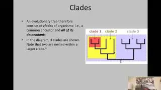 B2-6 Taxonomy & Systematics