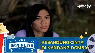 MOVINESIA RTV :  KESANDUNG CINTA DI KANDANG DOMBA