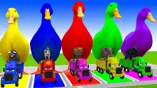 Long Slide Game with Cow Elephant Gorilla Hippopotamus Tiger 3d Animal Game Funny 3d Animals