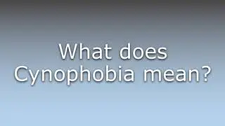 What does Cynophobia mean?