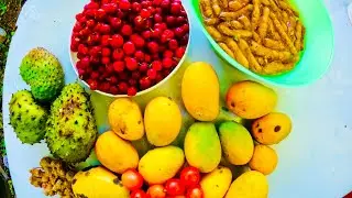 Jamaican natural juice recipes || Mangoes,cherries,tamarind,soursop,plum and ginger || no sugar.