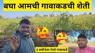 आमची गावाकडची शेती || 🥰😍 || Full Vlog Marathi || #pritiswapnilvlog #vlogs #villagelife 