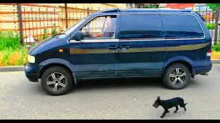 Срочный ремонт подвесного подшипника  Nissan Largo.