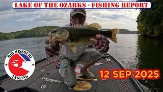 Lake of the Ozarks Bass Fishing - 12 Sep 2025 | Fishing report