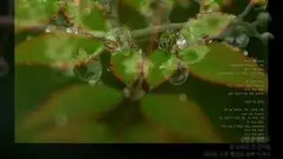 When the Love Falls (Raining Ver) - Yiruma