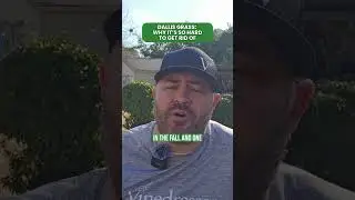 Dallis Grass: Why It&rsquo;s So Hard to Get Rid Of