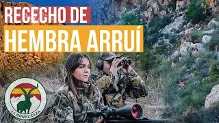 Rececho de Hembra de Arru&iacute; en Murcia con Montse D.H.
