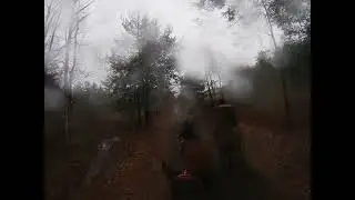 Douglas State Forrest 1 2 2022 # 3