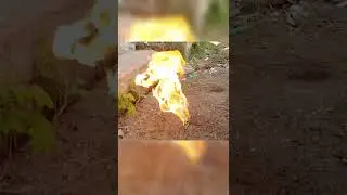 Fire experiment with two different angle🔥 #naturelover #fireexperiment #shorts