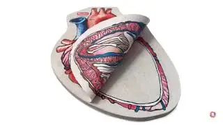 Notes by Heart