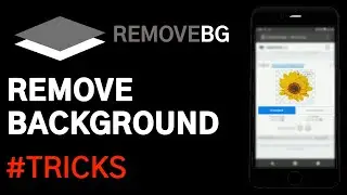 How to Remove BG on Any Mobile | Android & Ios | 2021
