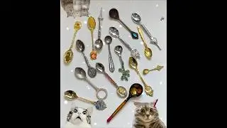 Why do I need so many spoons???🤯🙀 #spoon #collection