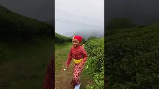 Darjeeling tea plantation - traditional dress #darjeeling #teaplantations