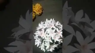 Easy water bottle craft