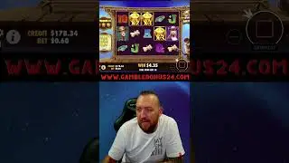 dog or alive🔥der bessere dog house? #casino #bonus #deutsch #bigwin #gambleworld #doghouse #dog
