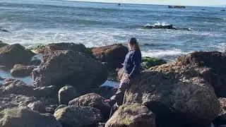 Biol 422 Rocky Intertidal