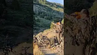 Ebike hunting with Tannus and Bakcou