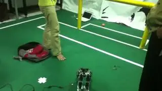 ITB Humanoid Robosoccer - Kick the ball !