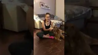 Dog Toy Review for Spinning Dog Chew Toy- Toys for Dogs that Move