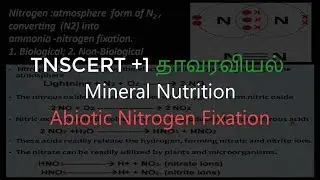 25.Botany | Mineral Nutrition | Abiotic Nitrogen Fixation