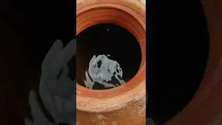 DIY Matka Planter | Reuse Old Matka | #nature #viral #shorts #trending #shorts #gardening #diy #spn