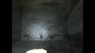 Dave Parkyns Live Stream