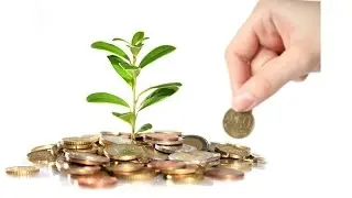 PaidVerts. Стратегии вложений. С $0 до $150 в день без вложений.