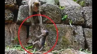 The Best Act !  Poor Baby Lori Crying Alone Calling Mom | Good Job Mom Amari Back So Fast Help Baby.