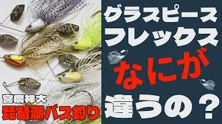 噂のグラスピースフレックス　いったい何が違うの？宮廣祥大★琵琶湖バス釣り　バスフィッシング　グラスピース　バズパズル　びわ湖　bassfishing　ブラックバス　GrassPieceFLEX