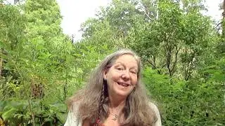 Welcome to my Booth  Robin Rose Bennett   WiseWoman Healing Ways