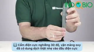 C&Aacute;CH X&Aacute;C ĐỊNH H&Agrave;M LƯỢNG OXY H&Ograve;A TAN TRONG NƯỚC VỚI M&Aacute;Y ĐO DO CẦM TAY MW600