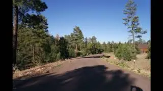 Real Estate for Sale 7436 GEMINI Lane, Lakeside, AZ 85929