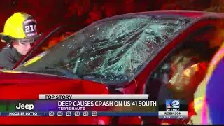 Deer causes crash on US 41