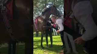Yoga, But For Horses? 🧘&zwj;♀️  #QPAT