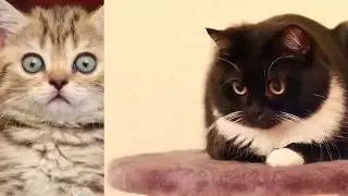 САМЫЕ НАДЕЖНЫЕ ТАЧКИ КОТОРЫЕ НЕ ЛОМАЮТСЯ!