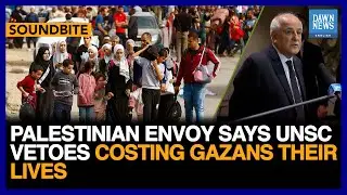 Palestinian Envoy Says 'UNSC Vetoes' Costing Gazans Their Lives | Dawn News English