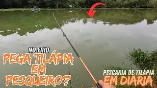 NO FRIO AINDA SAINDO TILÁPIA ! PESCARIA EM DIÁRIA !