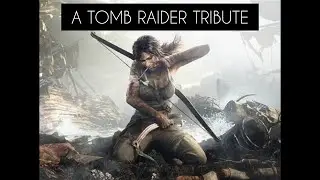 A TOMB RAIDER TRIBUTE - SURVIVOR(2WEI)