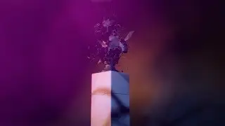 Houdini / Cinema 4D - Sculpture look development