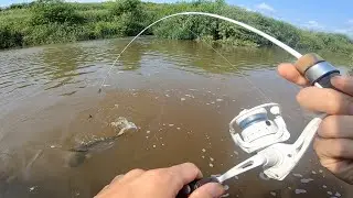 【小川の水門】ミミズと小魚を餌に釣りをすると大きな魚が釣れました