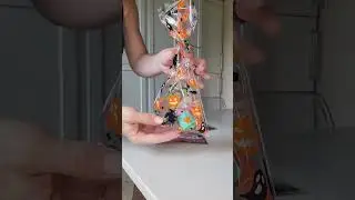 Halloween Treat Bags!